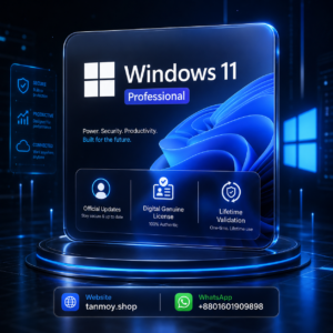 Windows 11 Professional Lifetime License